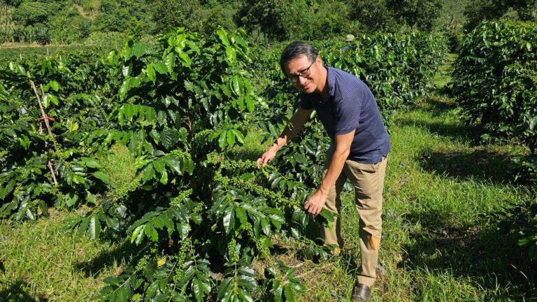 Khảo sát thực tế tại vườn Arabica.