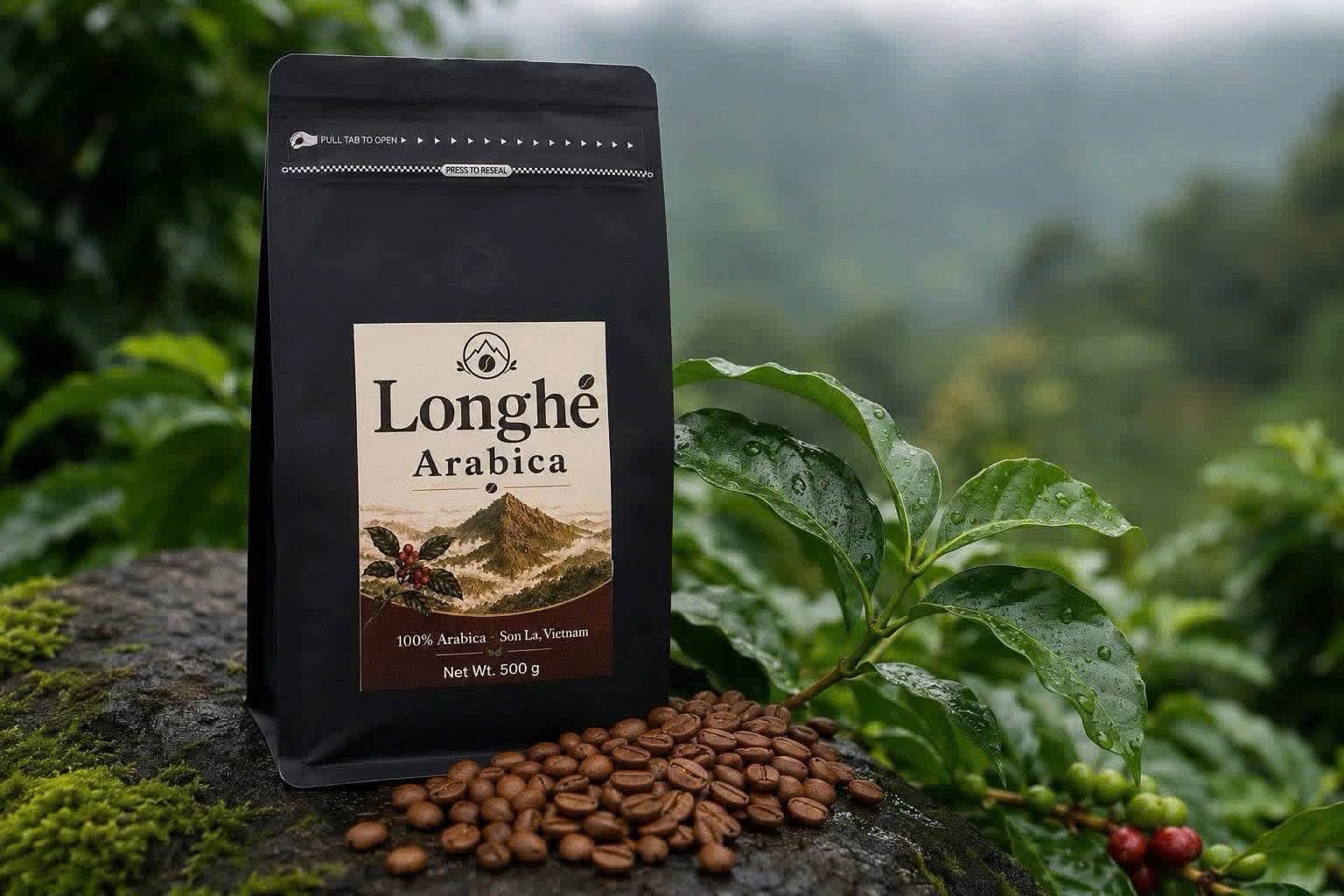 Arabica Sơn La – Cà phê sạch